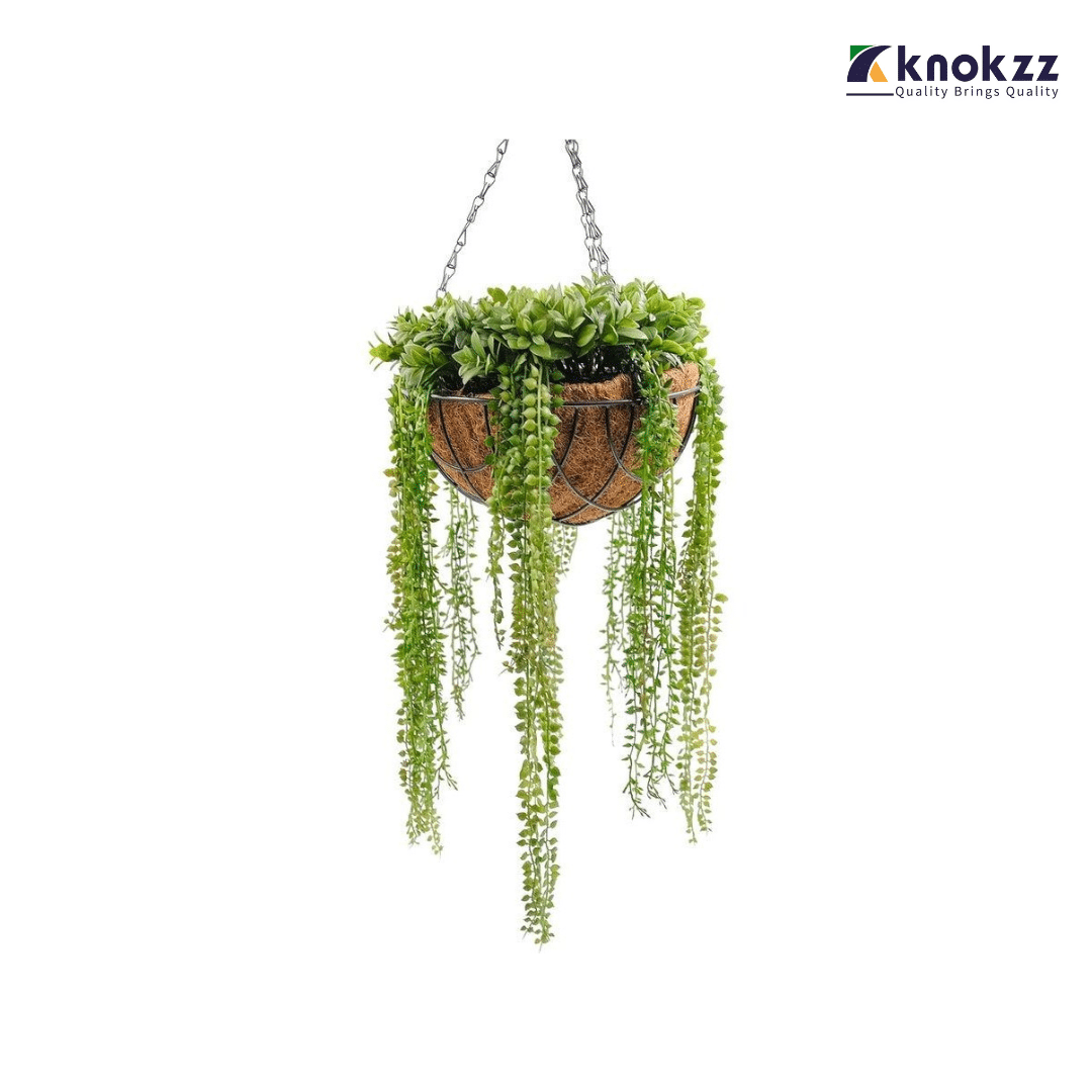 Hanging-Basket-Plant